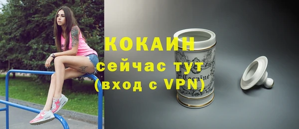 тгк Бородино