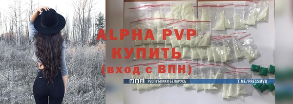 тгк Бородино