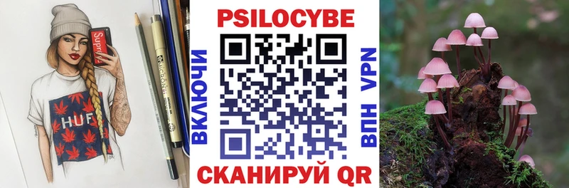 Галлюциногенные грибы MAGIC MUSHROOMS  купить наркотики сайты  гидра как зайти  Берёзовка 